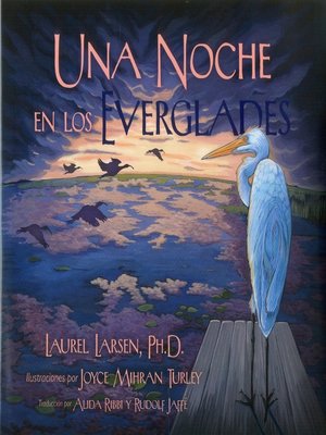 cover image of Una Noche en los Everglades